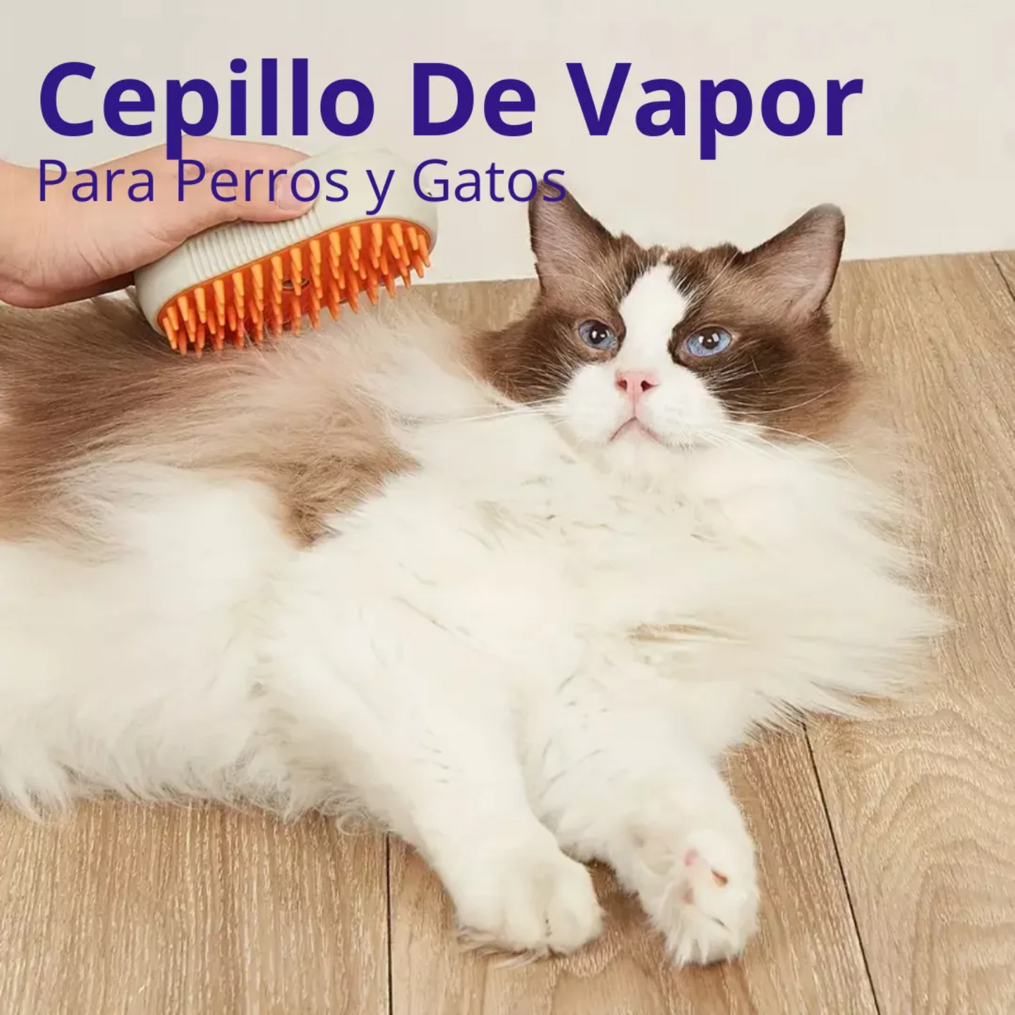 Cepillo Para Mascotas A Vapor Recargable.